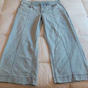 American Eagle Baggy Wide Leg Jeans